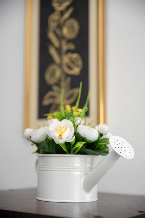 Apartmani Silvana&Vera Senj  Bagian luar foto