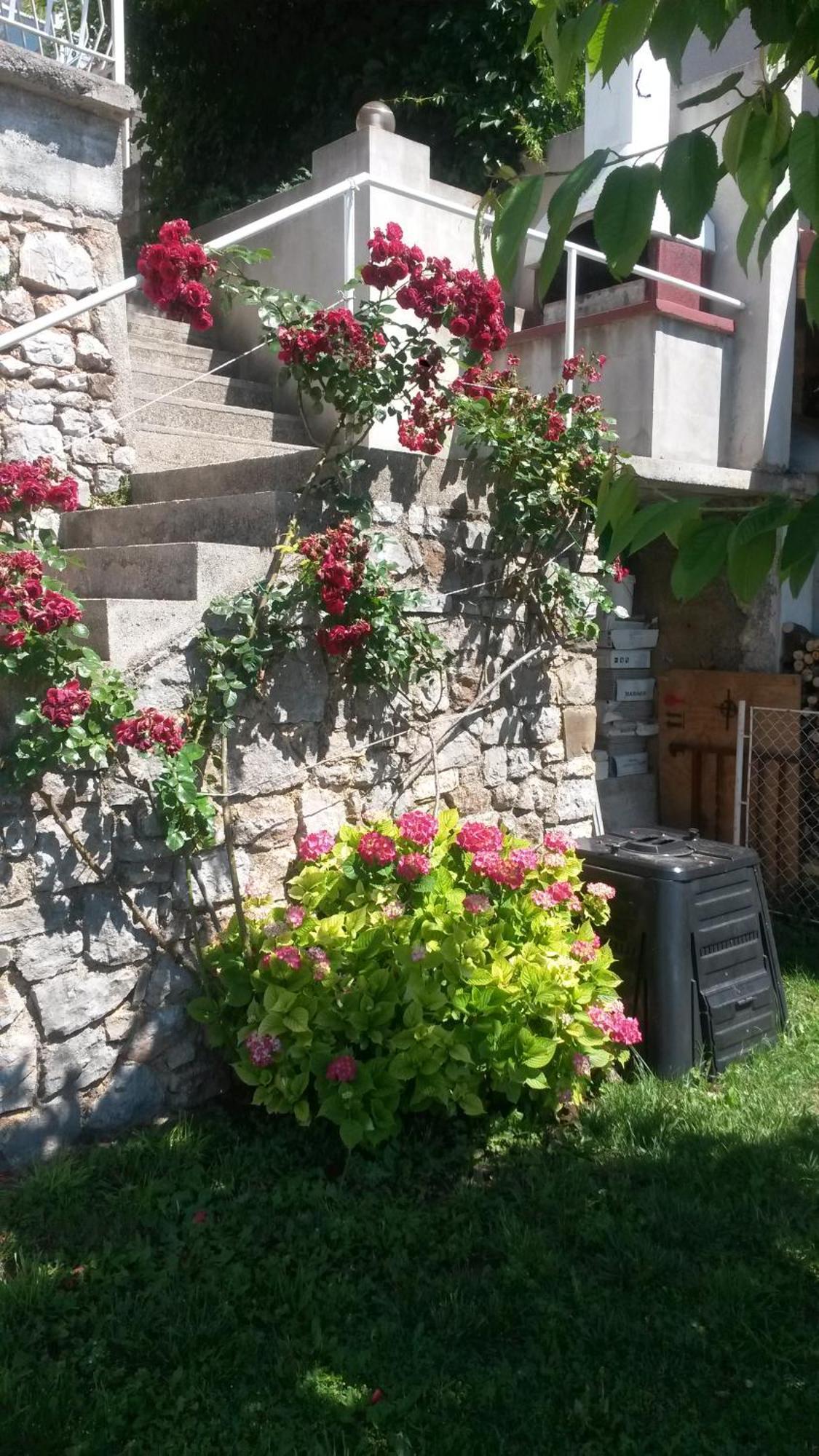 Apartmani Silvana&Vera Senj  Bagian luar foto